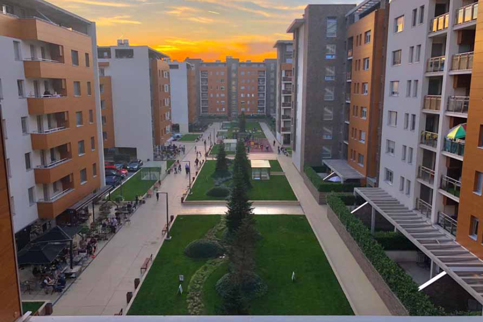 MAXIMUS LUX | Belano