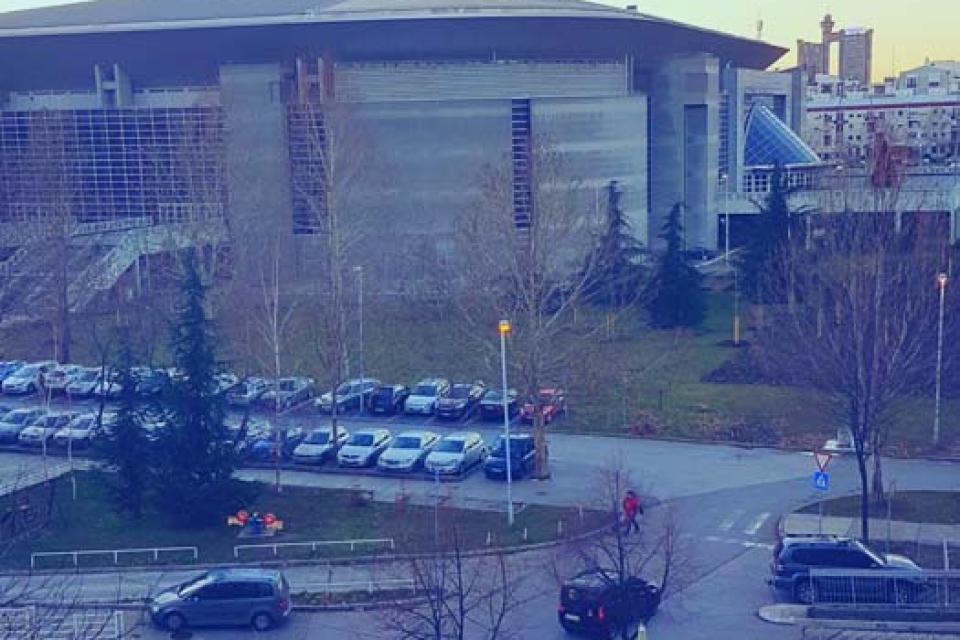 ARENA SILVER | Belano