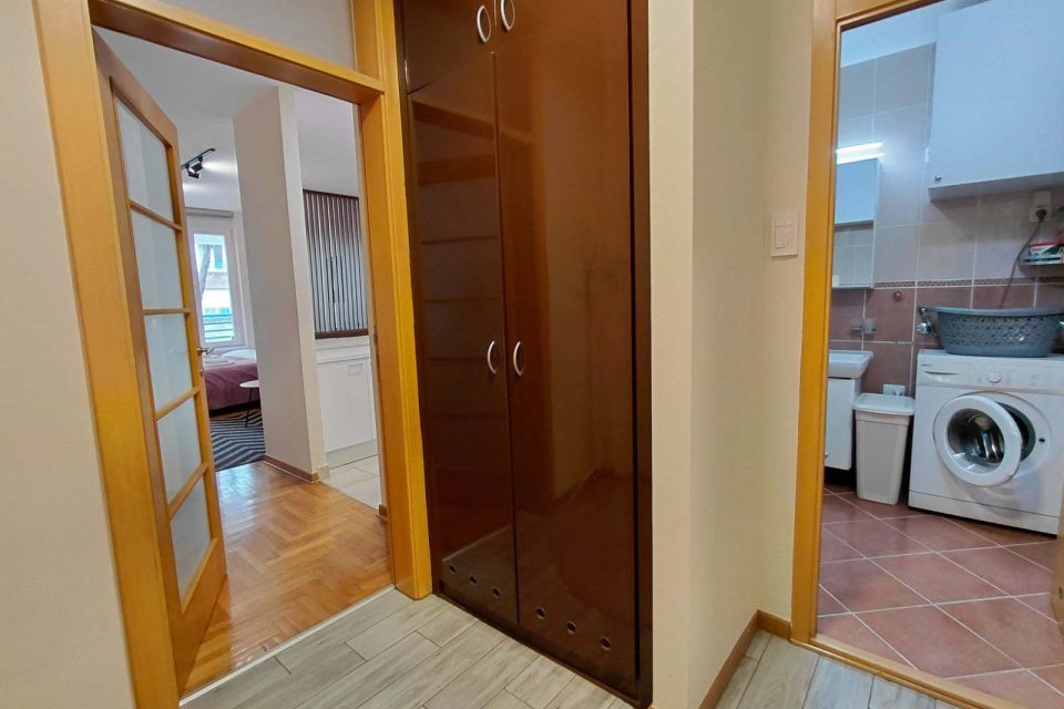 ARENA STUDIO | Belano