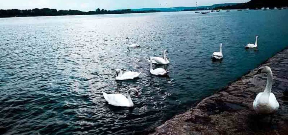 Hoteli u Zemunu: 5 najboljih | Bellano