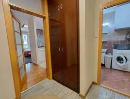 ARENA STUDIO | Belano