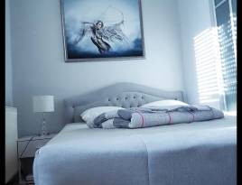 ARENA SILVER | Belano