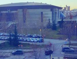 ARENA SILVER | Belano